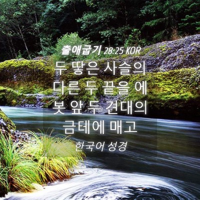 Picture 04 - 출애굽기 28:25 KOR - 두 땋은 사슬의 다른 두 끝을 에봇 앞 - Bible Verse Picture