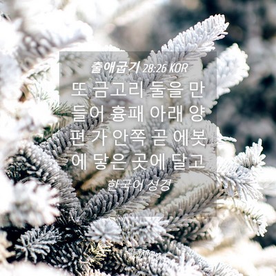 Picture 04 - 출애굽기 28:26 KOR - 또 금고리 둘을 만들어 흉패 아래 - Bible Verse Picture