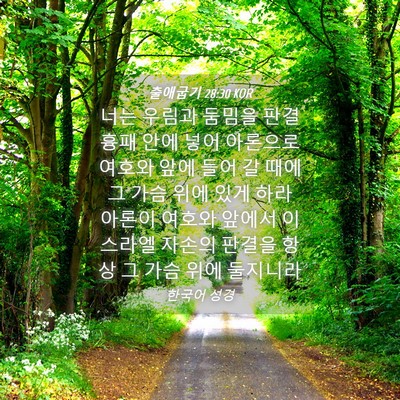 Picture 04 - 출애굽기 28:30 KOR - 너는 우림과 둠밈을 판결 흉패 안에 - Bible Verse Picture