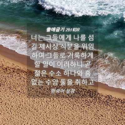 Picture 04 - 출애굽기 29:1 KOR - 너는 그들에게 나를 섬길 제사장 - Bible Verse Picture