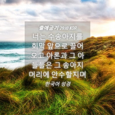Picture 04 - 출애굽기 29:10 KOR - 너는 수송아지를 회막 앞으로 끌어 - Bible Verse Picture