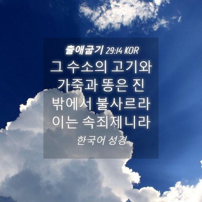 Picture 04 - 출애굽기 29:14 KOR - 그 수소의 고기와 가죽과 똥은 진 - Bible Verse Picture