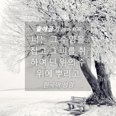Picture 04 - 출애굽기 29:16 KOR - 너는 그 수양을 잡고 그 피를 취하여 - Bible Verse Picture