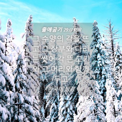 Picture 04 - 출애굽기 29:17 KOR - 그 수양의 각을 뜨고 그 장부와 - Bible Verse Picture