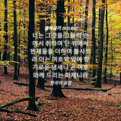 Picture 04 - 출애굽기 29:25 KOR - 너는 그것을 그들의 손에서 취하여 - Bible Verse Picture