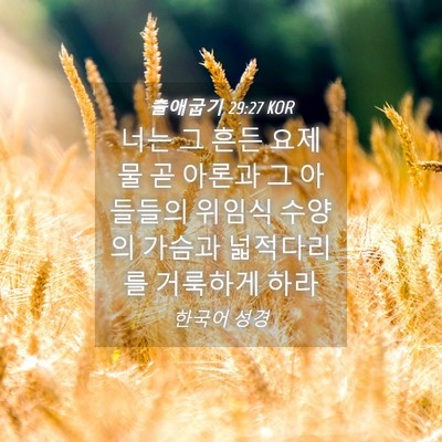 Picture 04 - 출애굽기 29:27 KOR - 너는 그 흔든 요제물 곧 아론과 그 - Bible Verse Picture