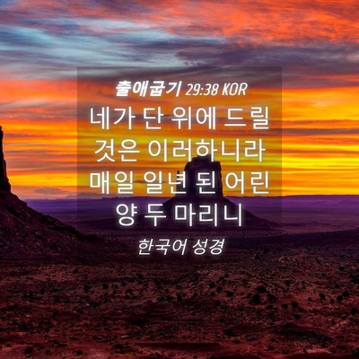 Picture 04 - 출애굽기 29:38 KOR - 네가 단 위에 드릴 것은 이러하니라 - Bible Verse Picture