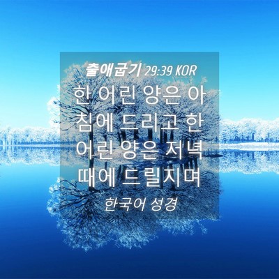 Picture 04 - 출애굽기 29:39 KOR - 한 어린 양은 아침에 드리고 한 어린 - Bible Verse Picture