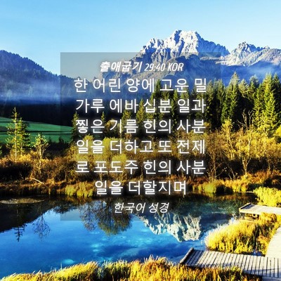 Picture 04 - 출애굽기 29:40 KOR - 한 어린 양에 고운 밀가루 에바 십분 - Bible Verse Picture