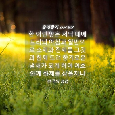 Picture 04 - 출애굽기 29:41 KOR - 한 어린 양은 저녁 때에 드리되 - Bible Verse Picture