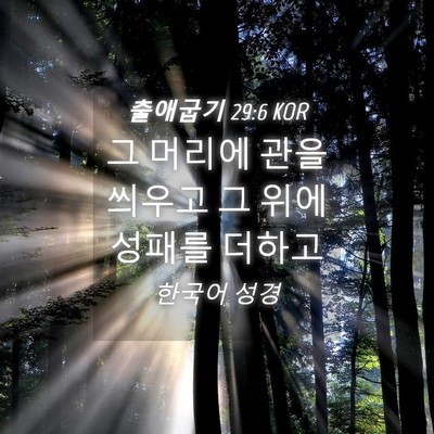 Picture 04 - 출애굽기 29:6 KOR - 그 머리에 관을 씌우고 그 위에 - Bible Verse Picture