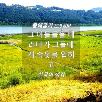 Picture 04 - 출애굽기 29:8 KOR - 그 아들들을 데려다가 그들에게 - Bible Verse Picture