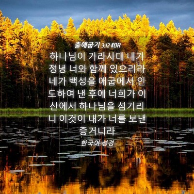 Picture 04 - 출애굽기 3:12 KOR - 하나님이 가라사대 내가 정녕 너와 - Bible Verse Picture