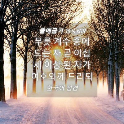 Picture 04 - 출애굽기 30:14 KOR - 무릇 계수 중에 드는 자 곧 이십세 - Bible Verse Picture