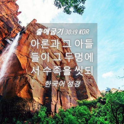 Picture 04 - 출애굽기 30:19 KOR - 아론과 그 아들들이 그 두멍에서 - Bible Verse Picture
