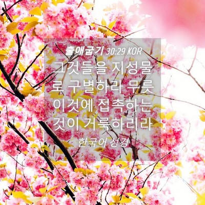 Picture 04 - 출애굽기 30:29 KOR - 그것들을 지성물로 구별하라 무릇 - Bible Verse Picture