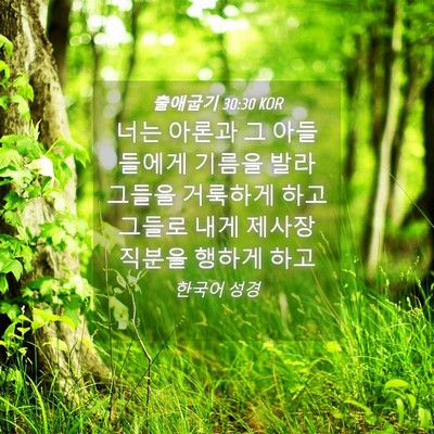 Picture 04 - 출애굽기 30:30 KOR - 너는 아론과 그 아들들에게 기름을 - Bible Verse Picture