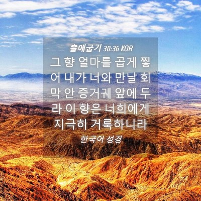 Picture 04 - 출애굽기 30:36 KOR - 그 향 얼마를 곱게 찧어 내가 너와 - Bible Verse Picture