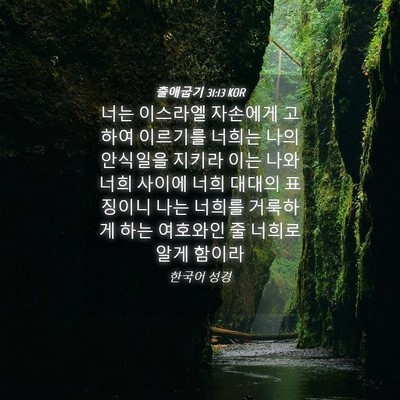 Picture 04 - 출애굽기 31:13 KOR - 너는 이스라엘 자손에게 고하여 - Bible Verse Picture
