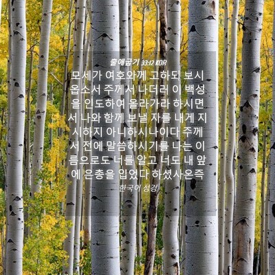 Picture 04 - 출애굽기 33:12 KOR - 모세가 여호와께 고하되 보시옵소서 - Bible Verse Picture