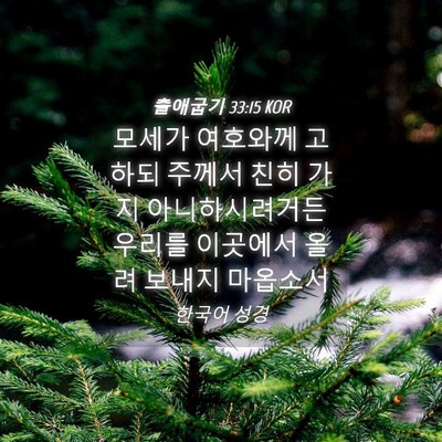 Picture 04 - 출애굽기 33:15 KOR - 모세가 여호와께 고하되 주께서 친히 - Bible Verse Picture
