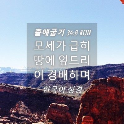 Picture 04 - 출애굽기 34:8 KOR - 모세가 급히 땅에 엎드리어 - Bible Verse Picture