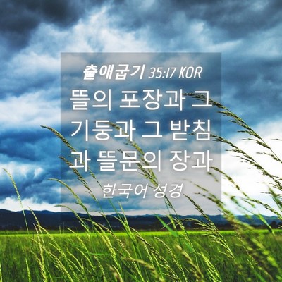 Picture 04 - 출애굽기 35:17 KOR - 뜰의 포장과 그 기둥과 그 받침과 - Bible Verse Picture