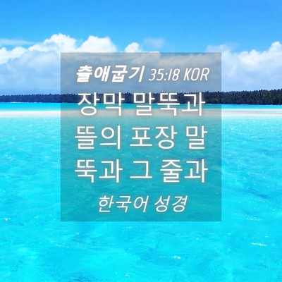 Picture 04 - 출애굽기 35:18 KOR - 장막 말뚝과 뜰의 포장 말뚝과 그 - Bible Verse Picture