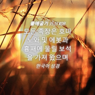 Picture 04 - 출애굽기 35:27 KOR - 모든 족장은 호마노와 및 에봇과 - Bible Verse Picture