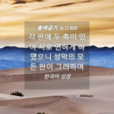 Picture 04 - 출애굽기 36:22 KOR - 각 판에 두 촉이 있어 서로 연하게 - Bible Verse Picture