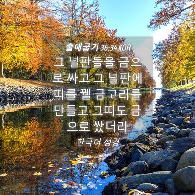 Picture 04 - 출애굽기 36:34 KOR - 그 널판들을 금으로 싸고 그 널판에 - Bible Verse Picture