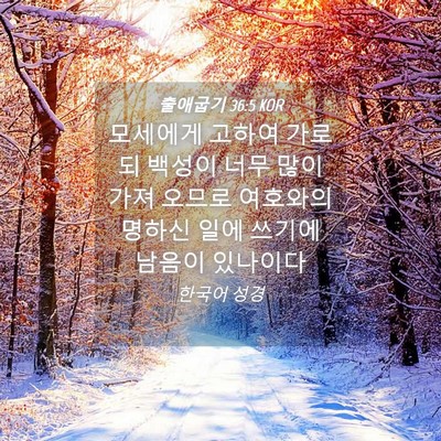 Picture 04 - 출애굽기 36:5 KOR - 모세에게 고하여 가로되 백성이 너무 - Bible Verse Picture