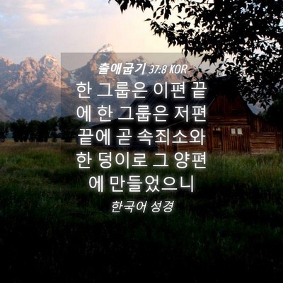 Picture 04 - 출애굽기 37:8 KOR - 한 그룹은 이편 끝에 한 그룹은 저편 - Bible Verse Picture