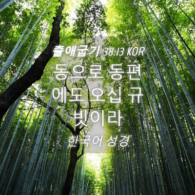 Picture 04 - 출애굽기 38:13 KOR - 동으로 동편에도 오십 - Bible Verse Picture