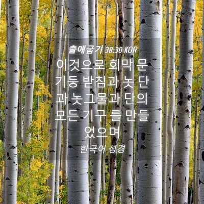 Picture 04 - 출애굽기 38:30 KOR - 이것으로 회막 문기둥 받침과 놋 - Bible Verse Picture