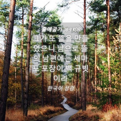 Picture 04 - 출애굽기 38:9 KOR - 그가 또 뜰을 만들었으니 남으로 - Bible Verse Picture