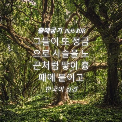 Picture 04 - 출애굽기 39:15 KOR - 그들이 또 정금으로 사슬을 노끈처럼 - Bible Verse Picture