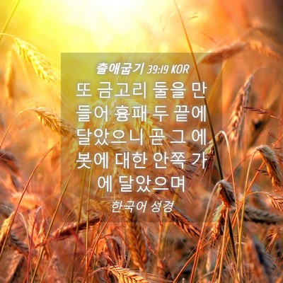 Picture 04 - 출애굽기 39:19 KOR - 또 금고리 둘을 만들어 흉패 두 끝에 - Bible Verse Picture