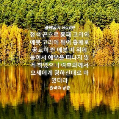 Picture 04 - 출애굽기 39:21 KOR - 청색 끈으로 흉패 고리와 에봇 - Bible Verse Picture