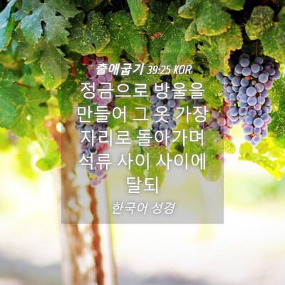 Picture 04 - 출애굽기 39:25 KOR - 정금으로 방울을 만들어 그 옷 - Bible Verse Picture