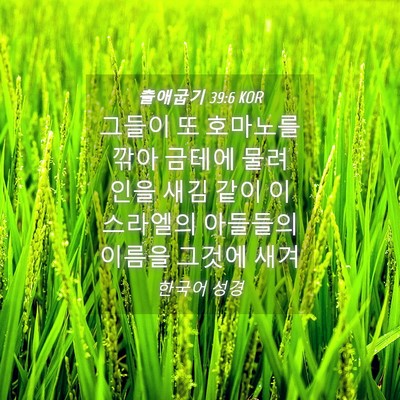 Picture 04 - 출애굽기 39:6 KOR - 그들이 또 호마노를 깎아 금테에 - Bible Verse Picture