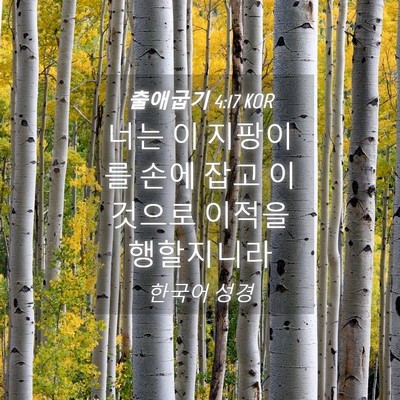 Picture 04 - 출애굽기 4:17 KOR - 너는 이 지팡이를 손에 잡고 - Bible Verse Picture