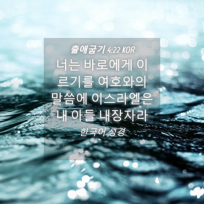 Picture 04 - 출애굽기 4:22 KOR - 너는 바로에게 이르기를 여호와의 - Bible Verse Picture