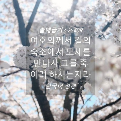 Picture 04 - 출애굽기 4:24 KOR - 여호와께서 길의 숙소에서 모세를 - Bible Verse Picture