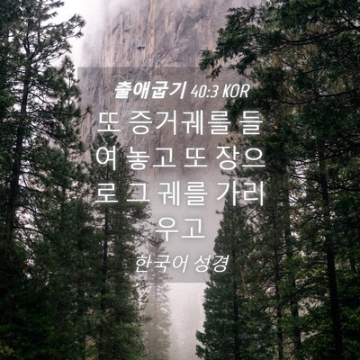 Picture 04 - 출애굽기 40:3 KOR - 또 증거궤를 들여 놓고 또 장으로 그 - Bible Verse Picture