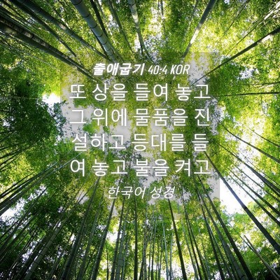 Picture 04 - 출애굽기 40:4 KOR - 또 상을 들여 놓고 그 위에 물품을 - Bible Verse Picture