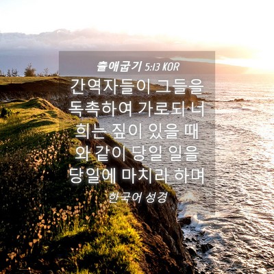 Picture 04 - 출애굽기 5:13 KOR - 간역자들이 그들을 독촉하여 가로되 - Bible Verse Picture