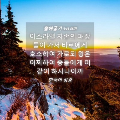 Picture 04 - 출애굽기 5:15 KOR - 이스라엘 자손의 패장들이 가서 - Bible Verse Picture