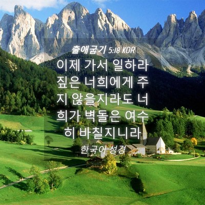 Picture 04 - 출애굽기 5:18 KOR - 이제 가서 일하라 짚은 너희에게 - Bible Verse Picture