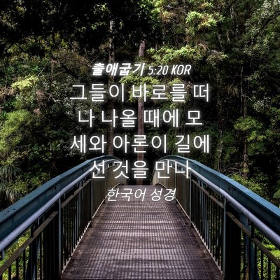 Picture 04 - 출애굽기 5:20 KOR - 그들이 바로를 떠나 나올 때에 - Bible Verse Picture